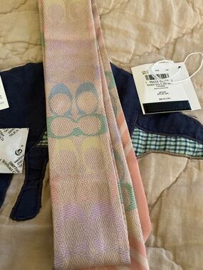 Coach Pale Rainbow Twilly Scarf Silk